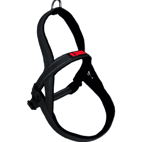 KONG Norwegian harness S Black