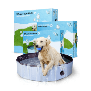 CoolPets Zwembad 80×20