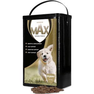 Max Puppy