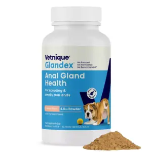 Glandex Zalm Poeder voor Hond 113 gram