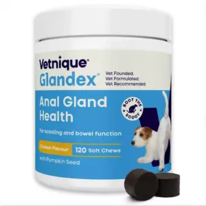 Glandex Soft Chew Kip 480 g (120 stuks)