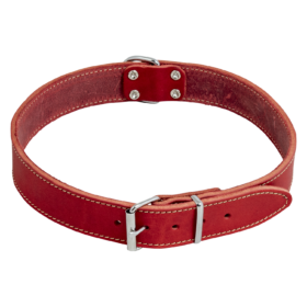 JV VETLEDER Halsband Rood-12mmx30cm