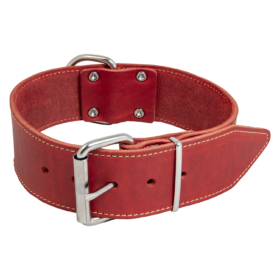 JV VETLEDER Brede Halsband Rood-50mmx70cm
