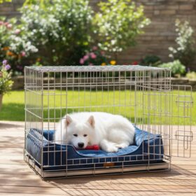 Topmast Bench Verzinkt XXL - 122 x 73 x 81 cm ( 2 deuren )