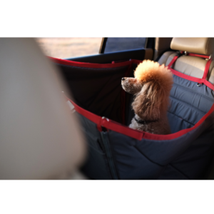 Transformeer de reiservaring van je hond met onze comfortabele autostoelen! 🚗🐶 Ontworpen voor veiligheid en comfort, zijn onze stoelen ideaal om je huisdier op een veilige plek te houden terwijl jullie samen reizen.
Met een ergonomisch ontwerp en zachte materialen zorgen onze stoelen ervoor dat je hond zich comfortabel voelt tijdens de hele rit. Bovendien zijn ze uitgerust met bevestigingssystemen die ze stevig op hun plaats houden, zodat je harige vriend niet kan verschuiven of nerveus wordt tijdens het rijden. Maak van elke rit een aangenamere en veiligere ervaring voor je hond met onze autostoelen, perfect voor gezinsavonturen!
