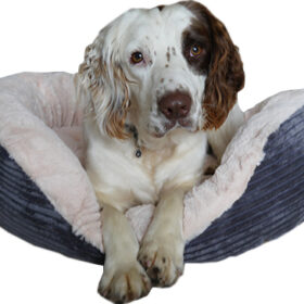 Rosewood hondenmand ovaal jumbo cord pluche grijs / creme 81.5 CM