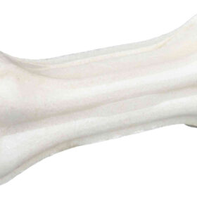Trixie denta fun duck chewing bones 12 CM 6X120 GR