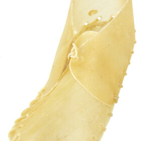 Petsnack kauwschoen 5 INCH 12.5 CM 20 ST