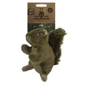 Wild Life Dog Squirrel (Eekhoorn)
