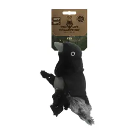 Wild Life Dog Raven (Raaf)