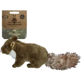 Wild Life Dog Marten (Marter)